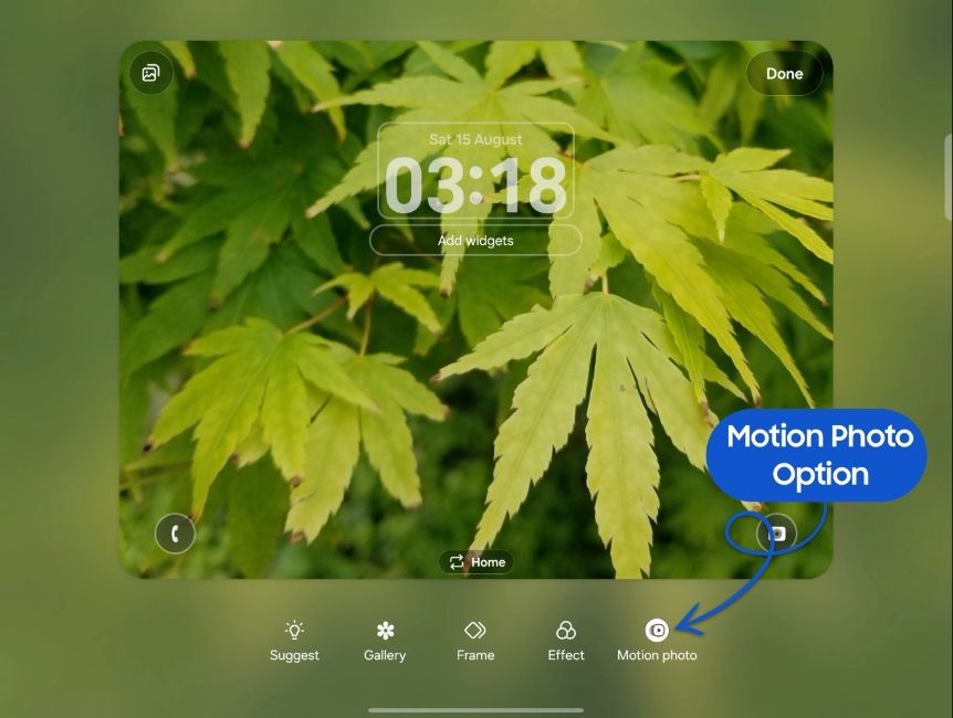 Motion Photo option in the long-press menu on the home screen