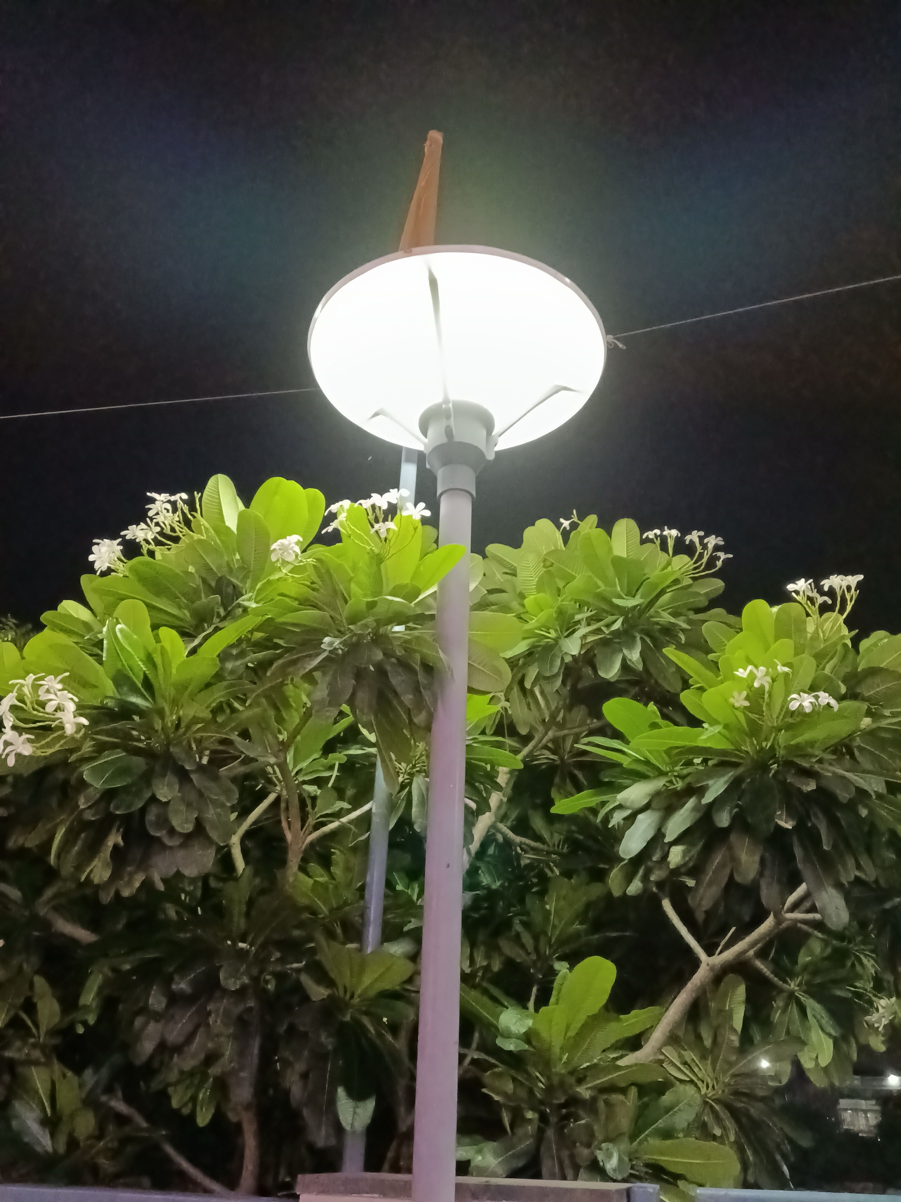 Vivo T5 Lite 5G Review main camera shot 12 Vivo T5 Lite 5G Review main camera shot 12