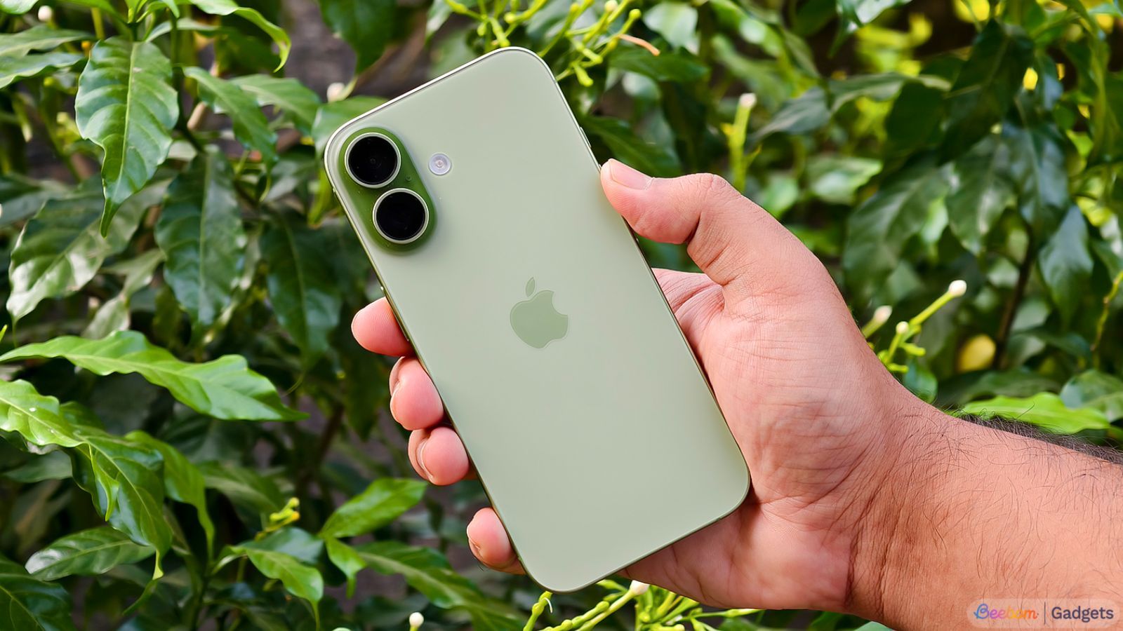 iPhone 17 hands-on image