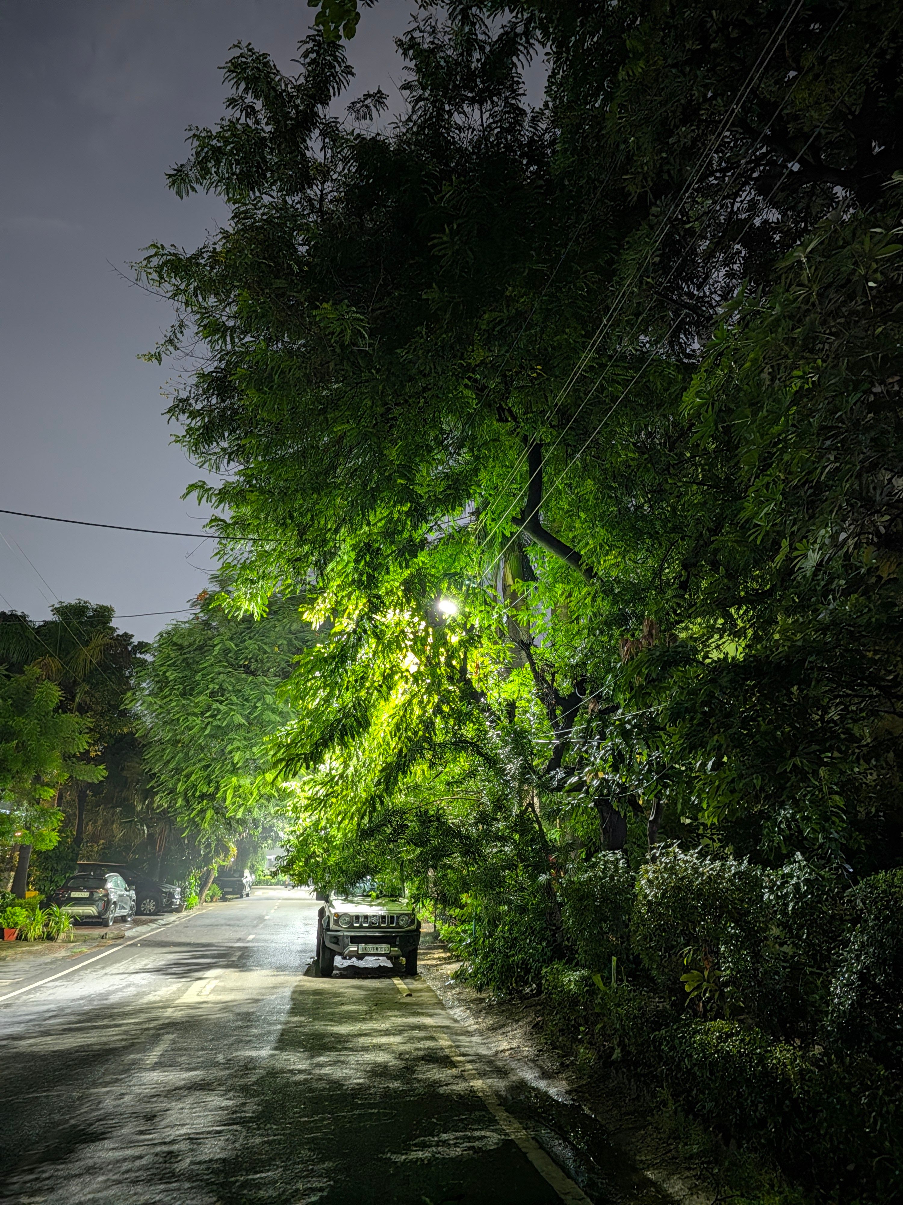 Pixel 11 main night shot of thar Pixel 11 main night shot of thar