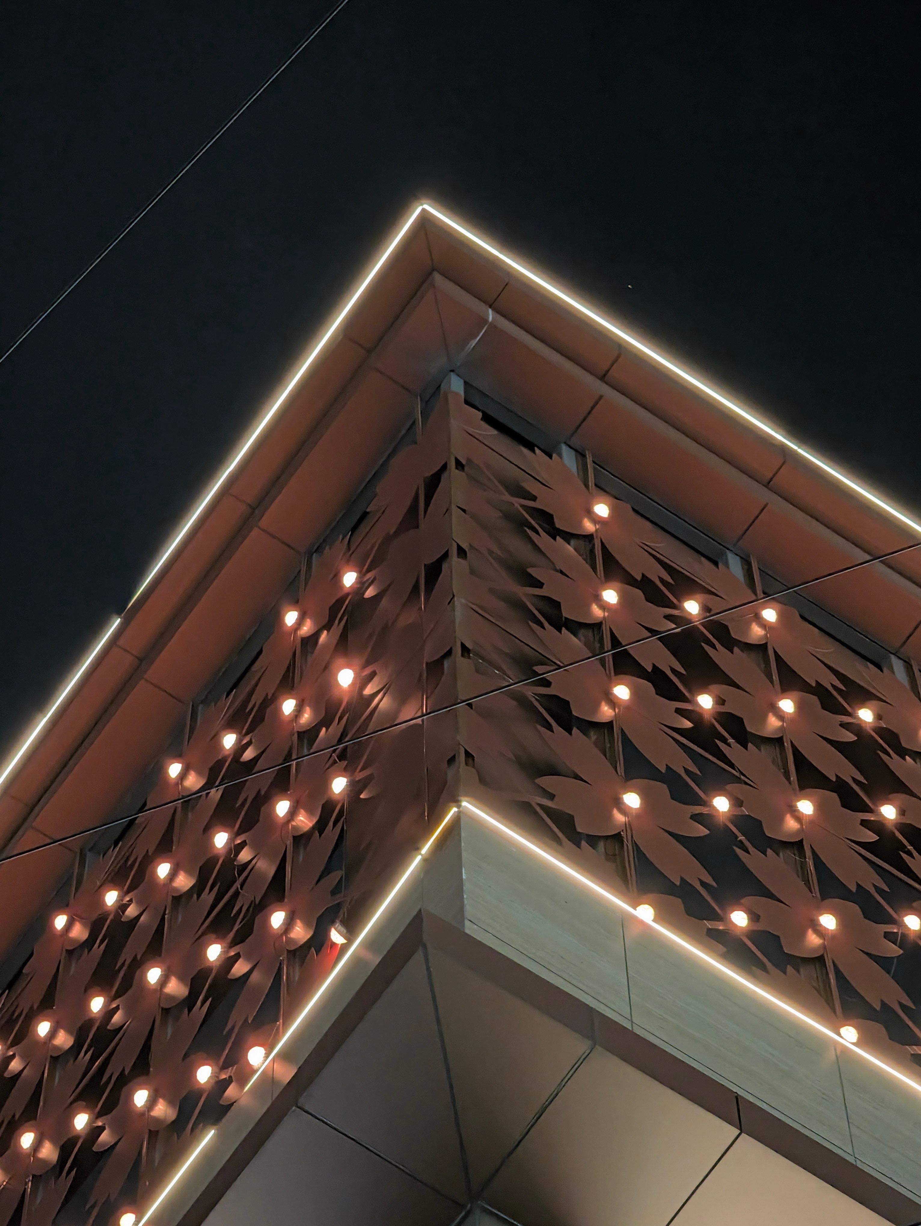 Pixel 11 Pro XL mall night shot telephoto