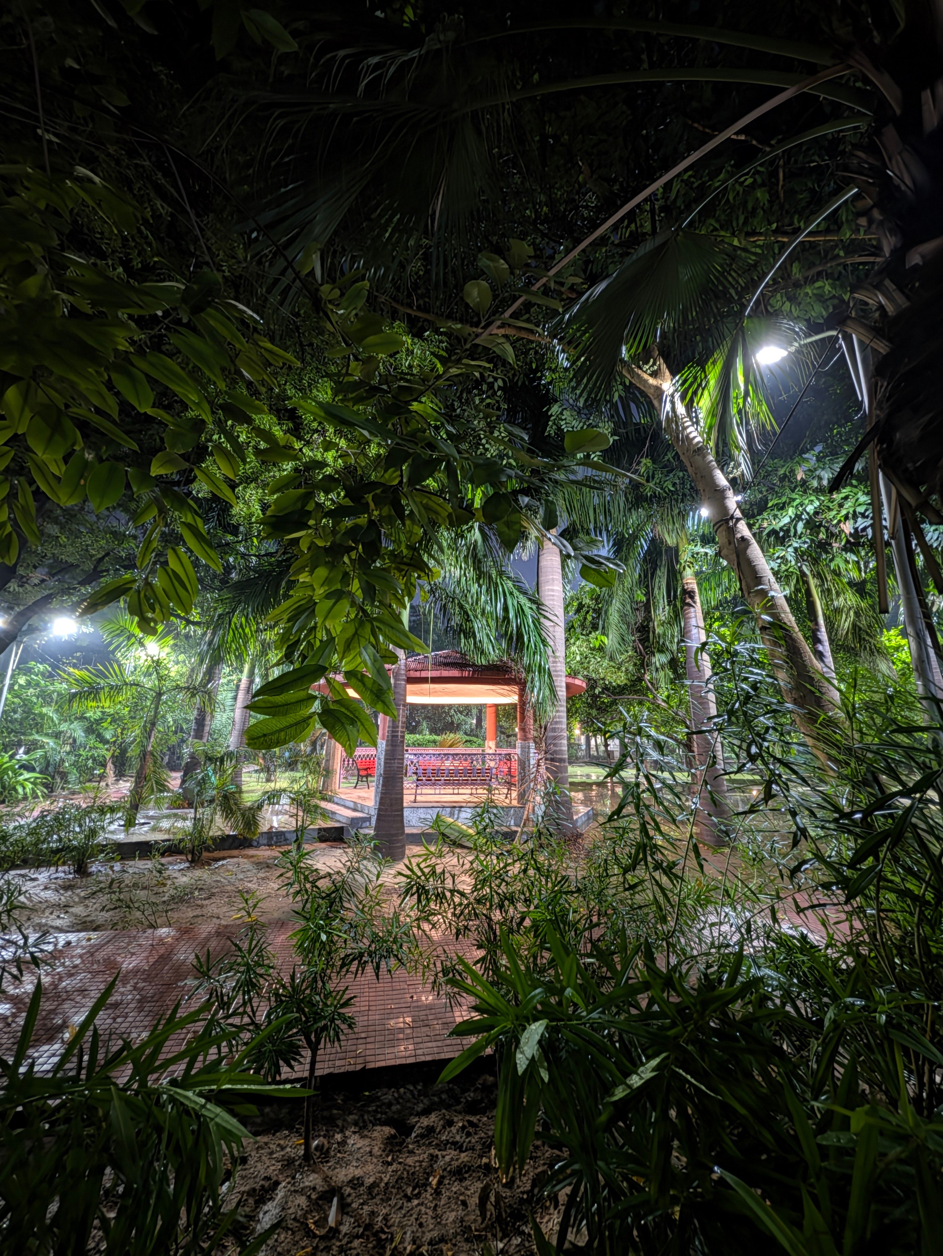Pixel 11 Pro XL night shot ultrawide park