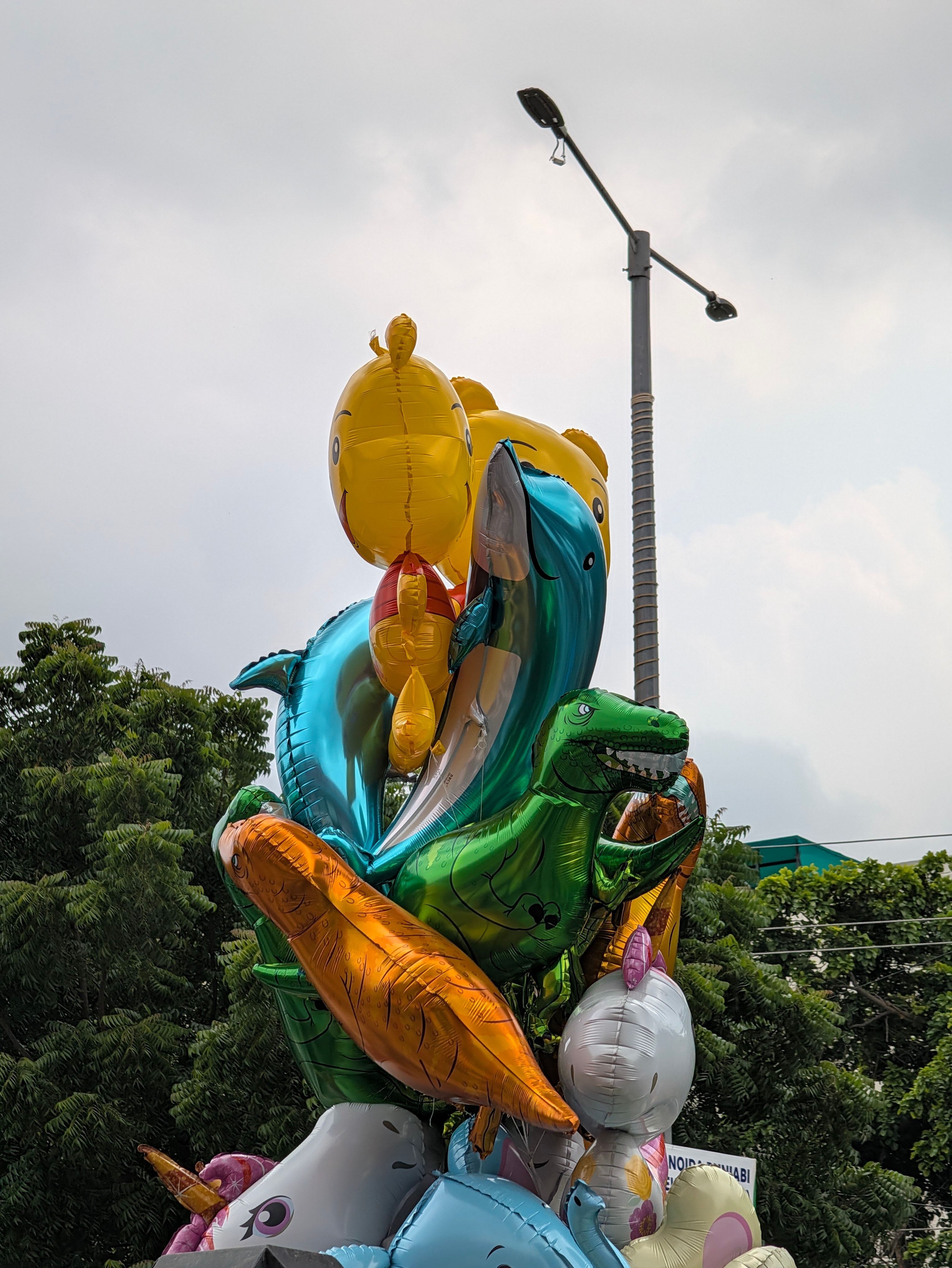 Pixel 11 Pro XL main day shot toy balloon
