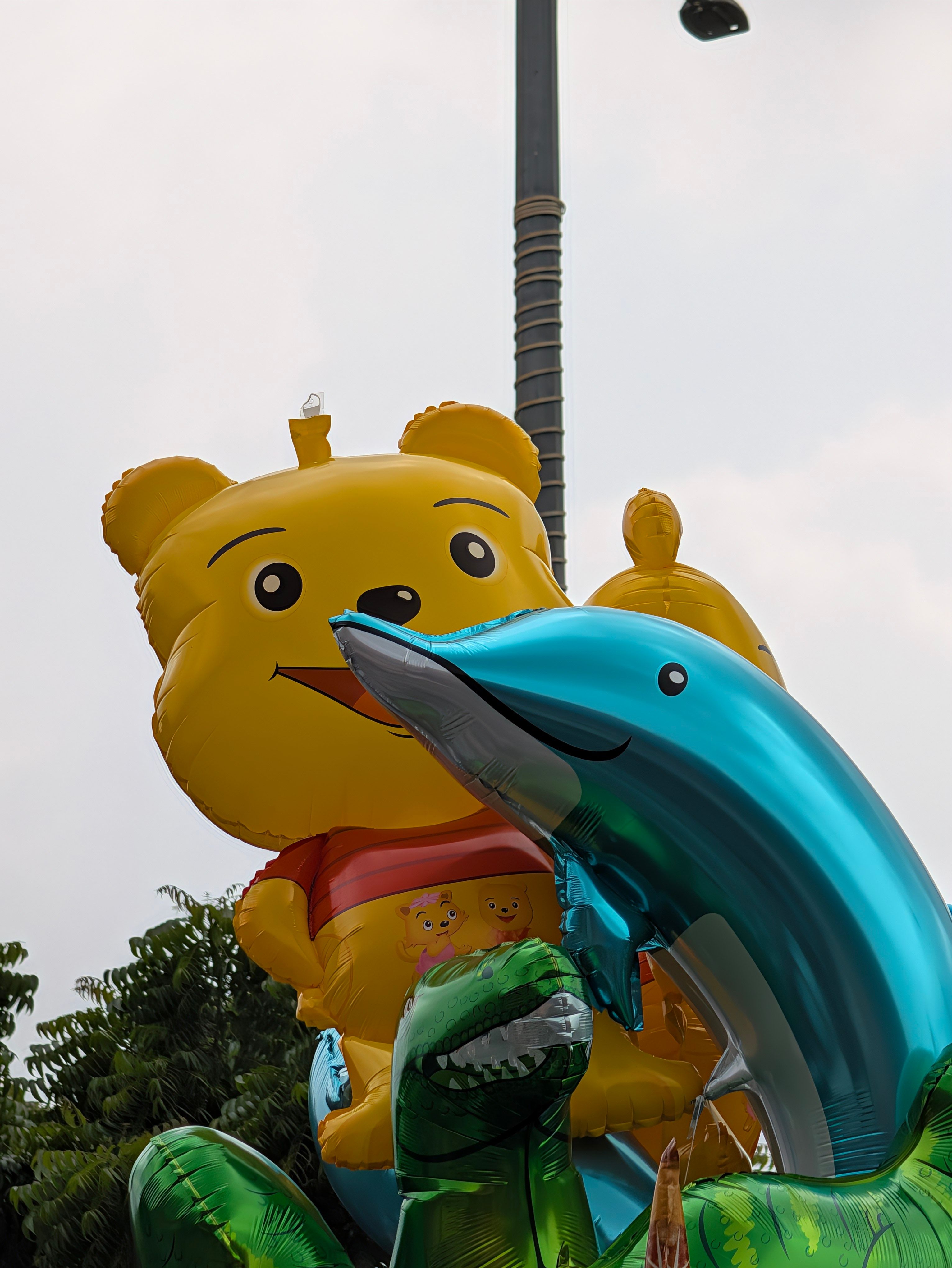 Pixel 11 Pro XL telephoto day shot toy balloon