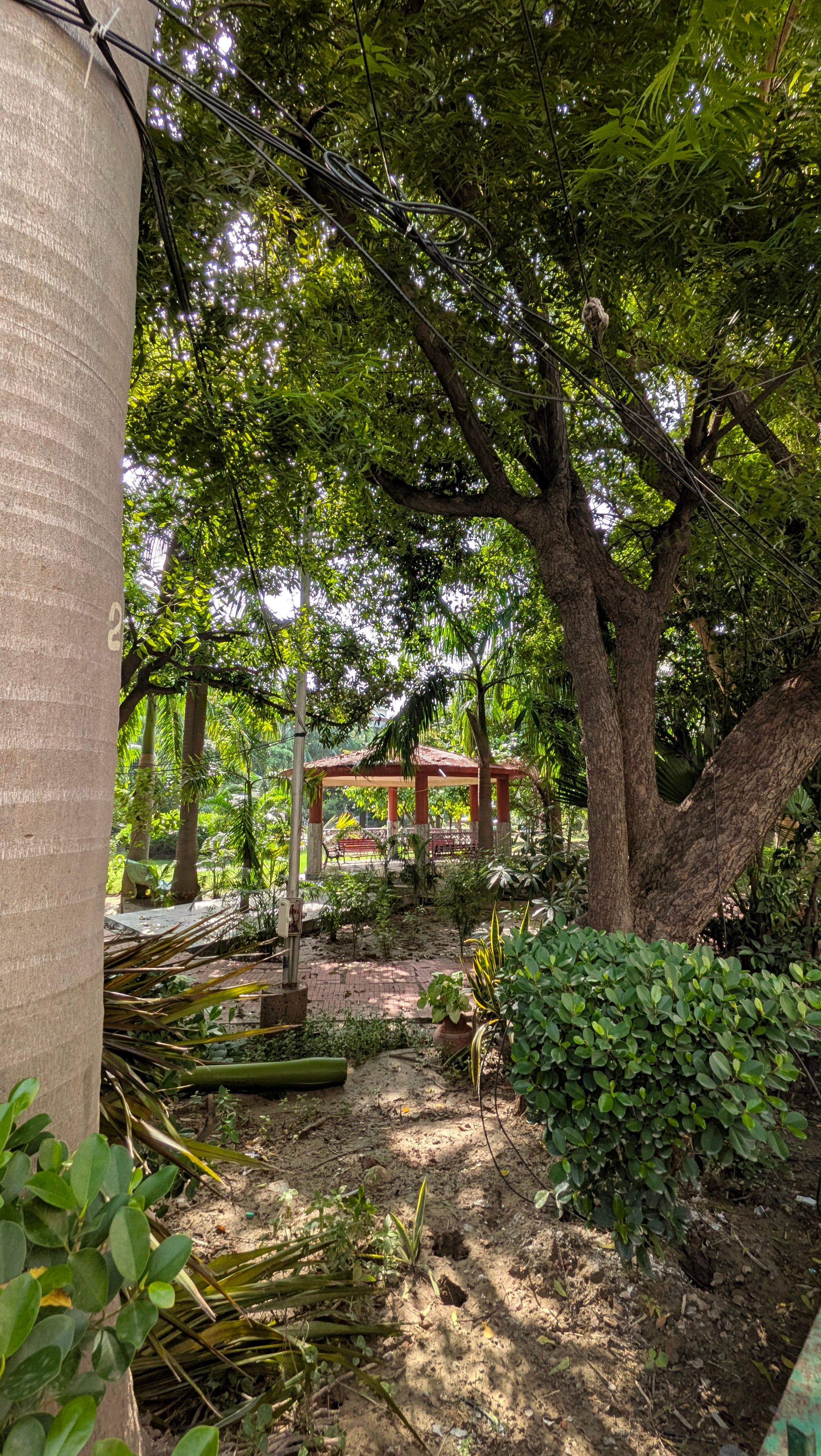 Pixel 11 ultrawide park seat day time shot Pixel 11 ultrawide park seat day time shot