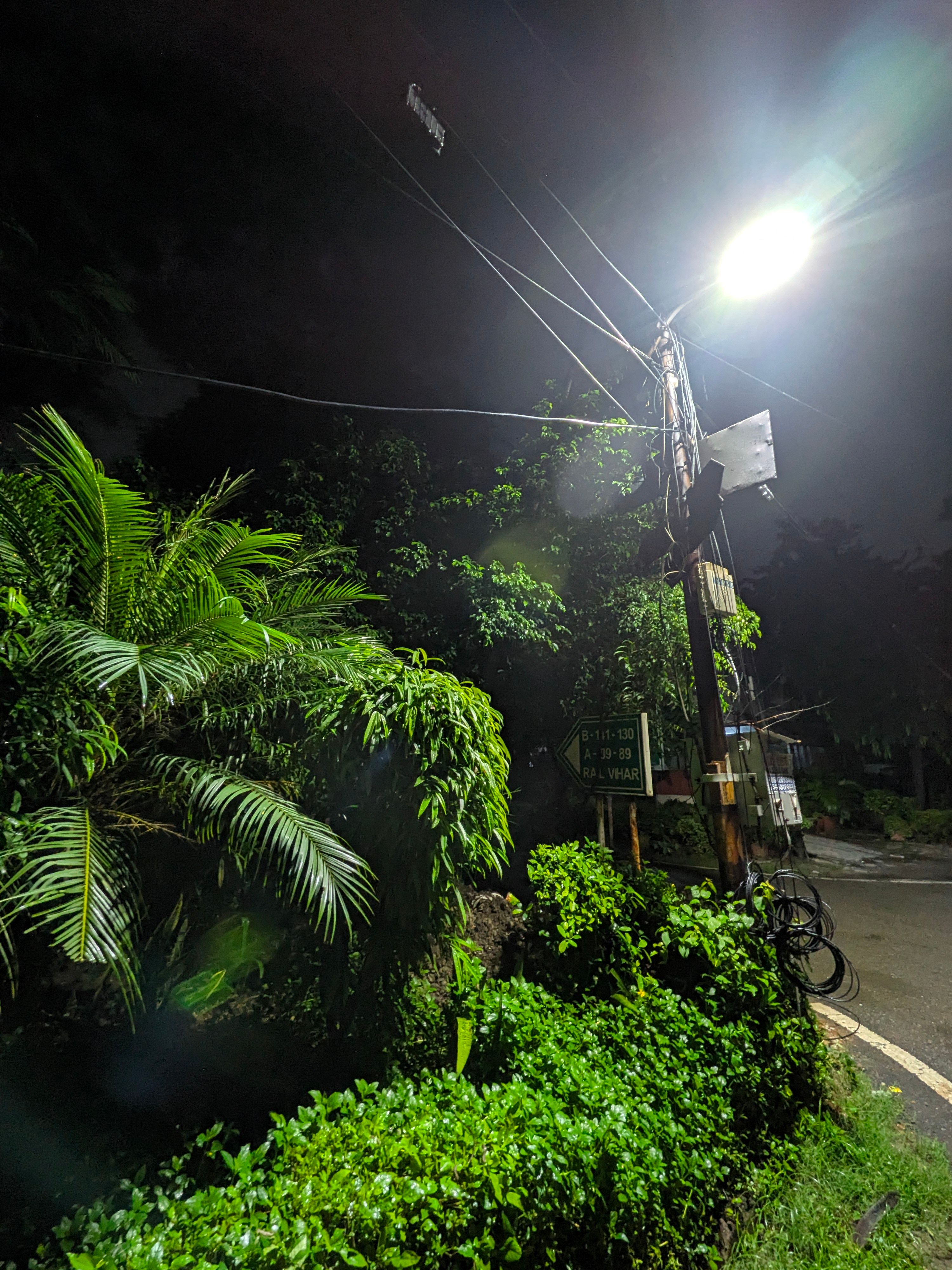 Pixel 11 ultrawide night shot of street light and bush Pixel 11 ultrawide night shot of street light and bush