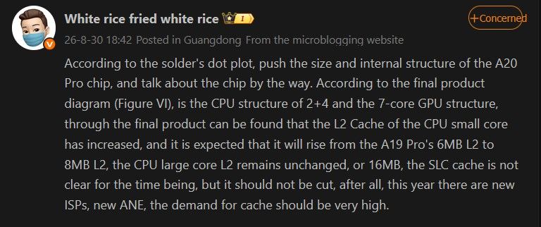 Apple A20 Pro die schematics information from Stir Fried White Rice on weibo Apple A20 Pro die schematics information from Stir Fried White Rice on weibo