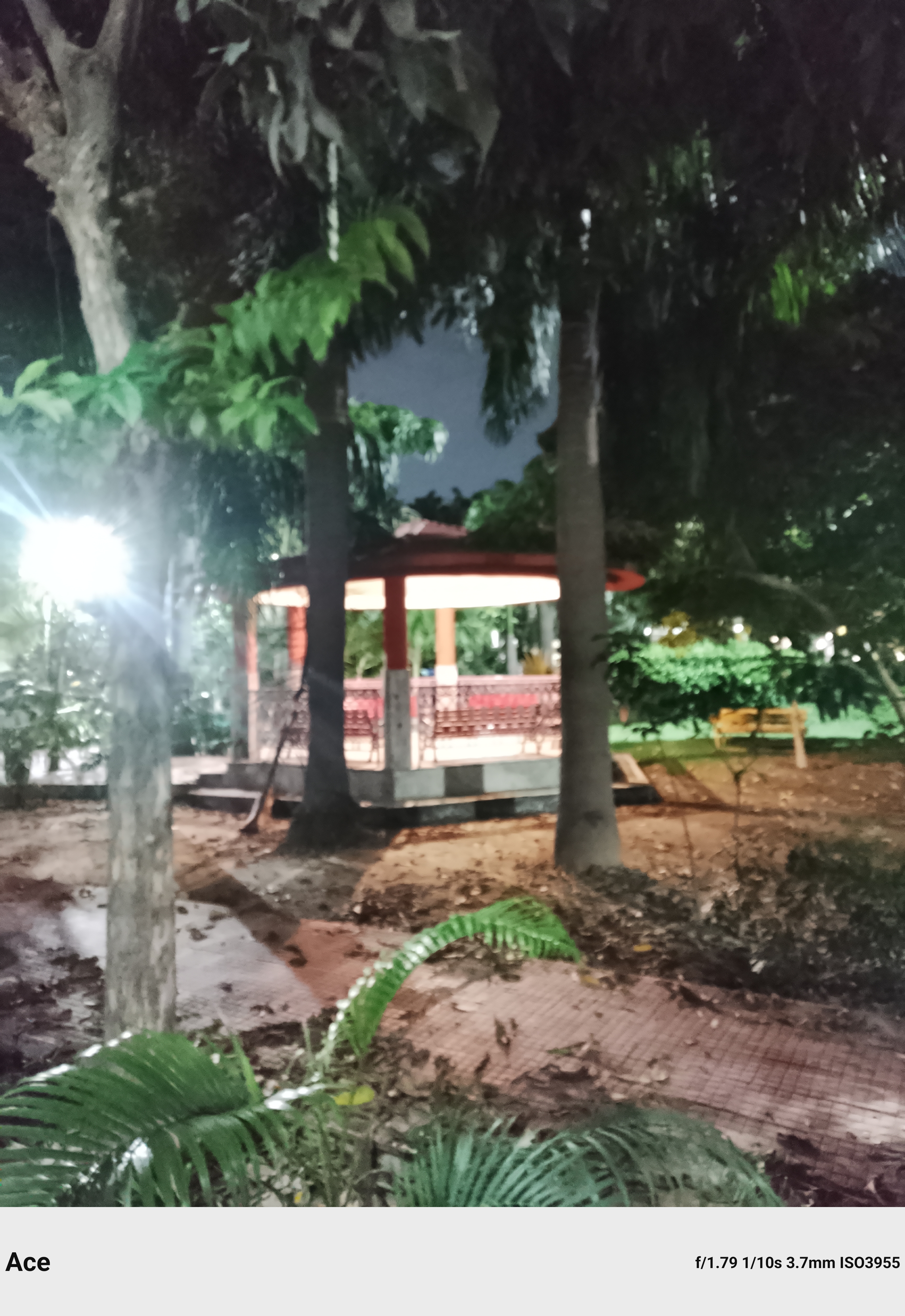Boltt Ace 5G park shot