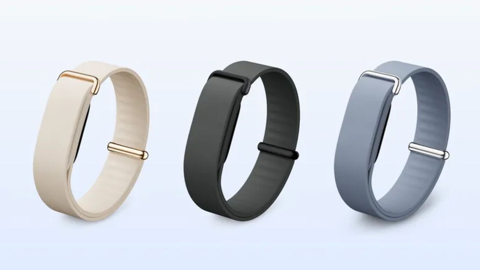 Google Fitbit Air in Elevated Modern Bands 