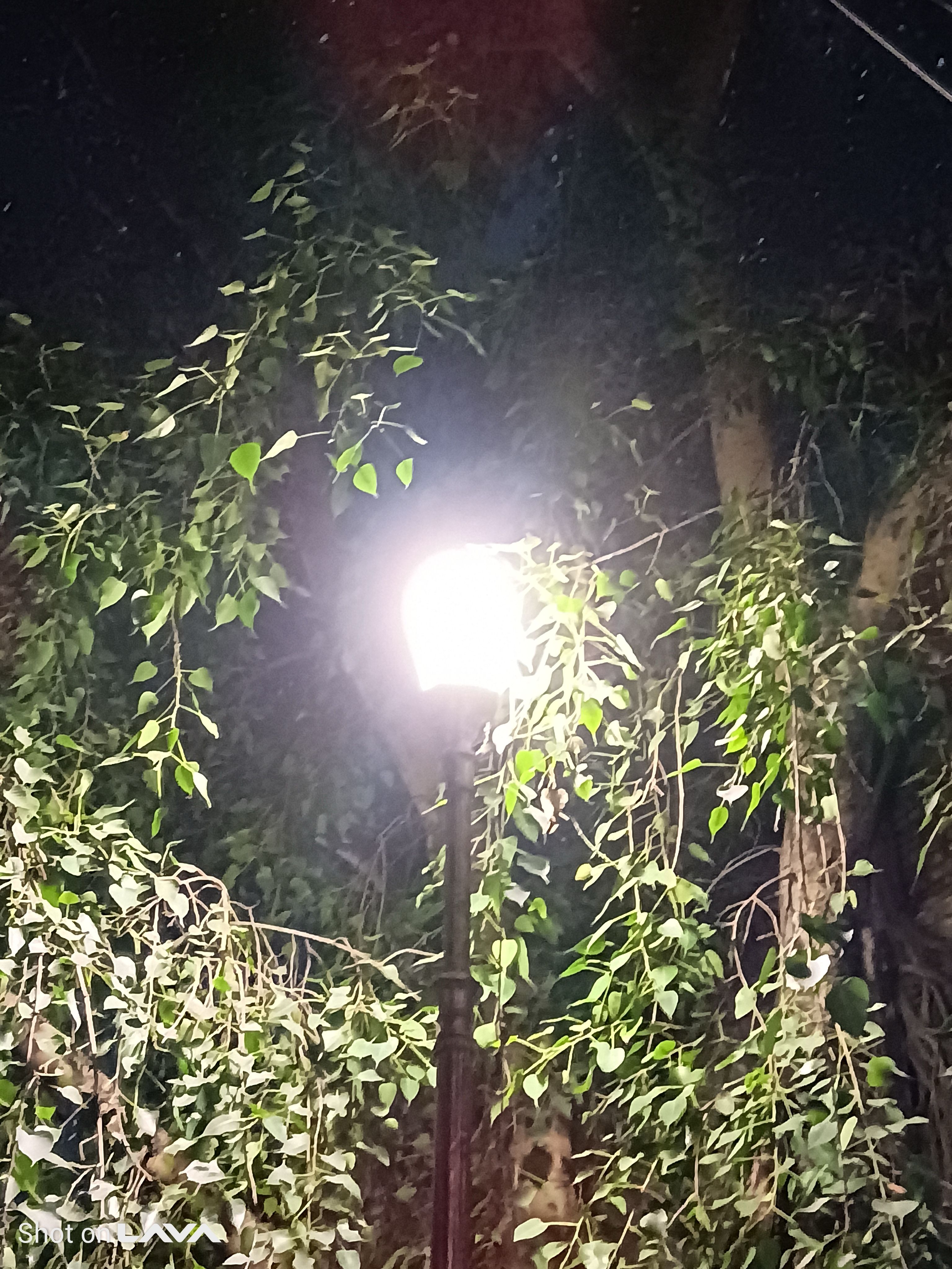 Lava Virat Curve 5G Main Camera Shot 10