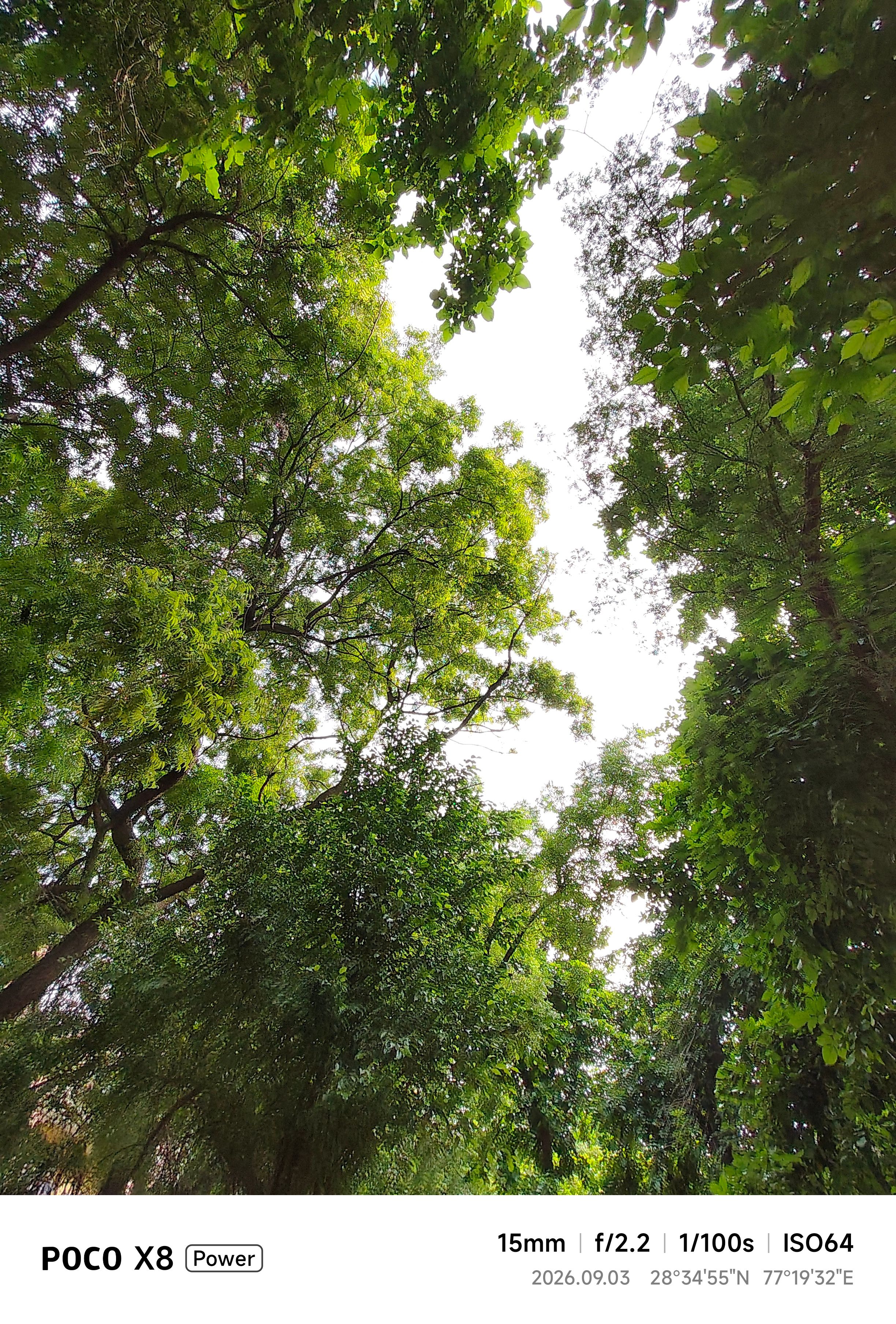 Poco X8 Power trees ultrawide shot during the day showcasing