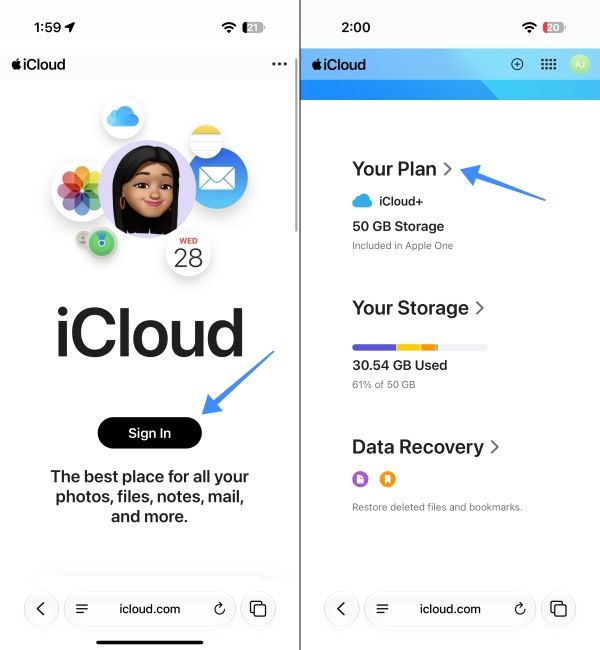 Sign into your iCloud account and go to plans
