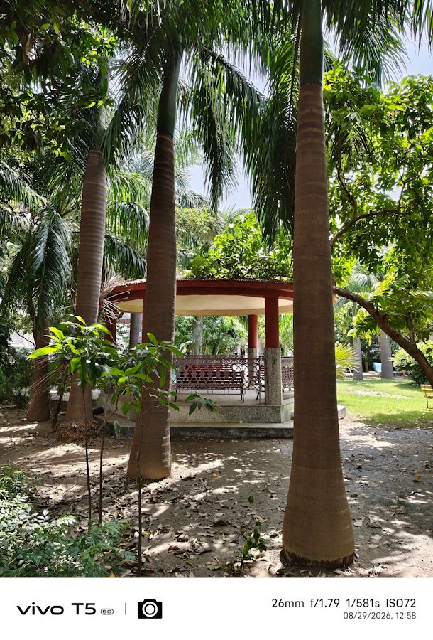 Vivo T5 5G main park seat shot