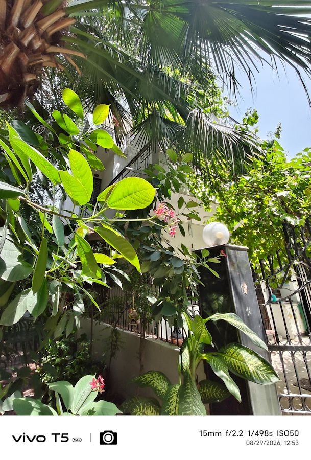 Vivo T5 5G ultrawide flower shot