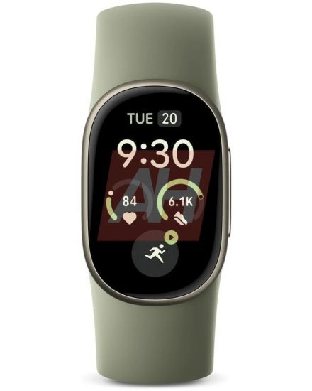 Fitbit Edge Tracker in Olive Colourway