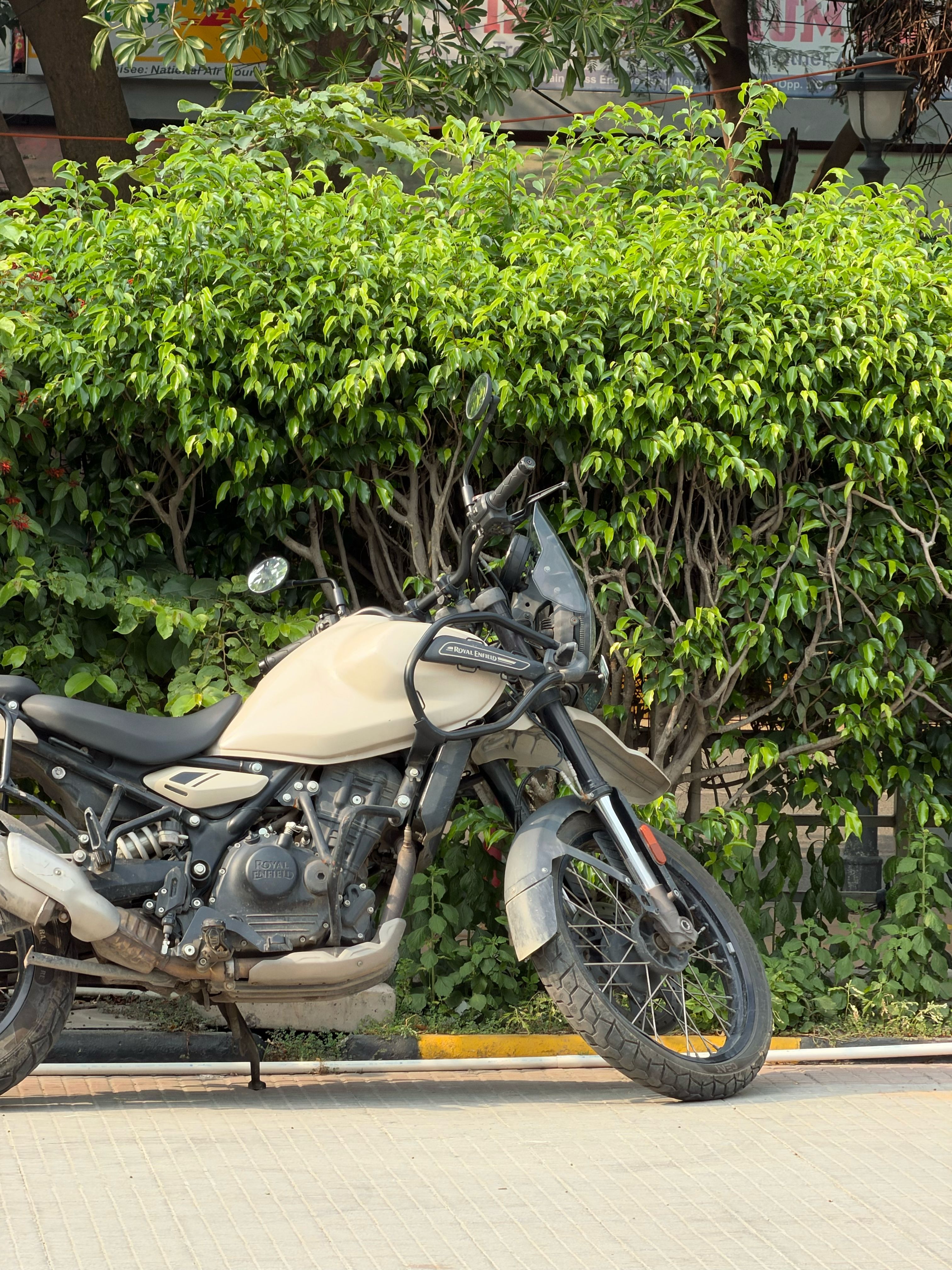 iPhone 18 Pro Max Main Camera Shot 9