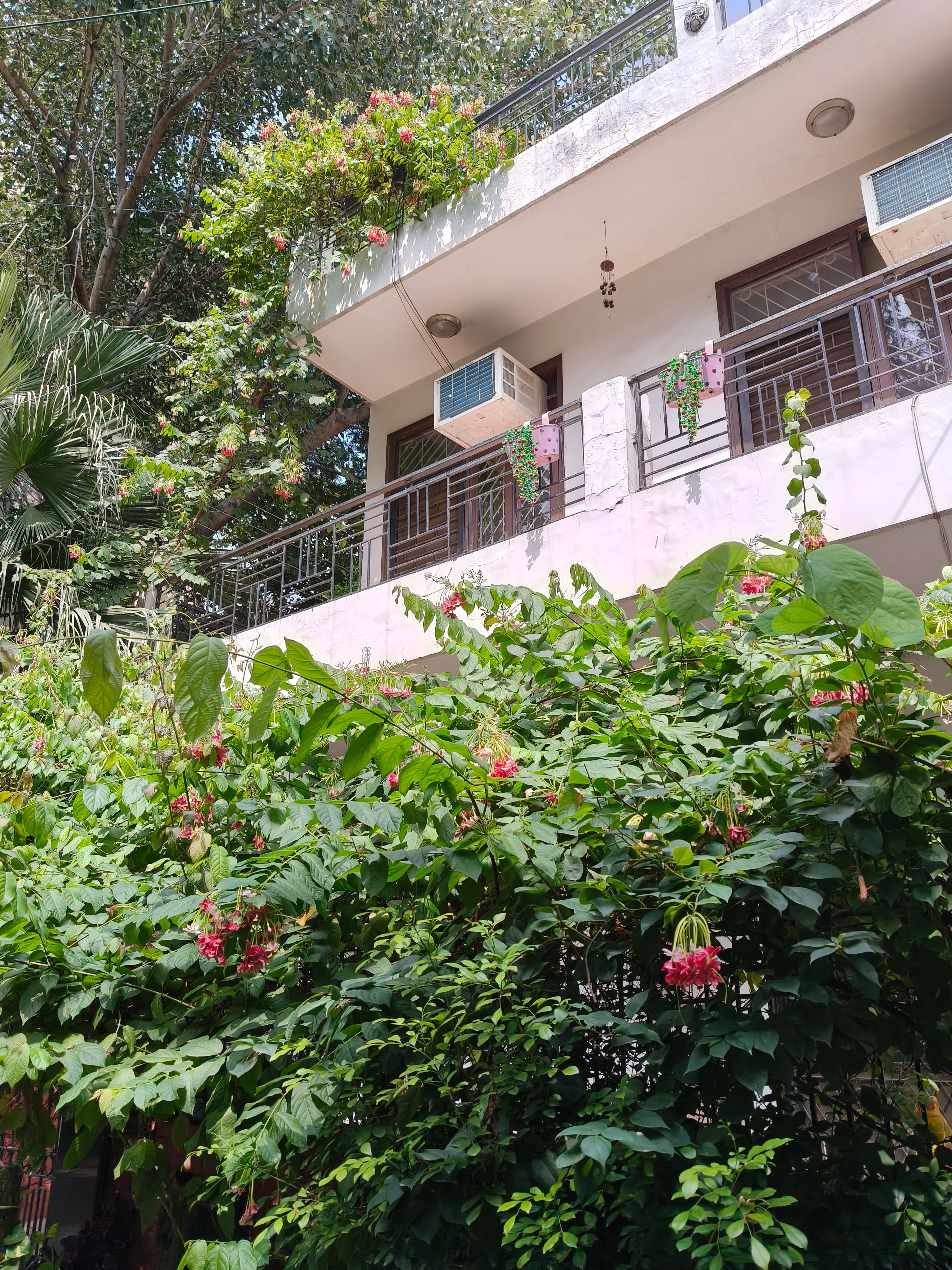 Oppo F35 Pro daylight tree and house shot primary