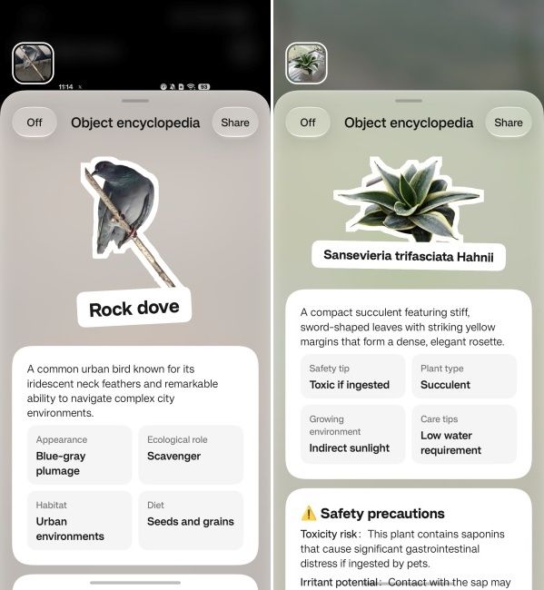 OSee feature on ColorOS 17 identifying birds and plants