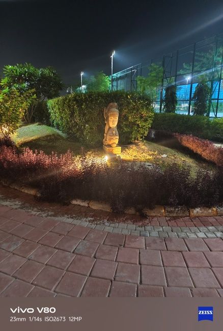 Society view with stone sculpture and bushes at night shot on Vivo V80