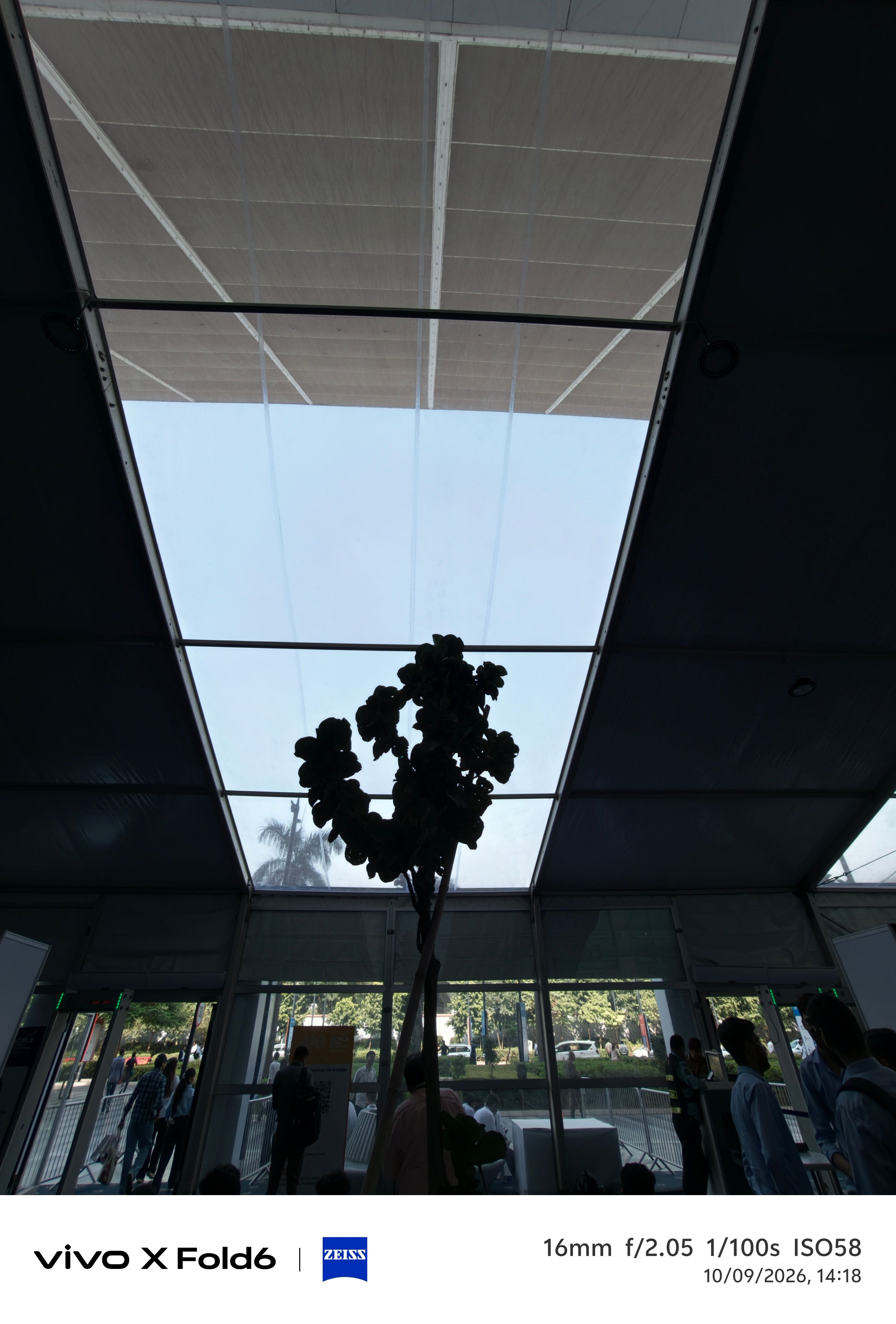Vivo X Fold 6 day time plant against the light ultrawide shot