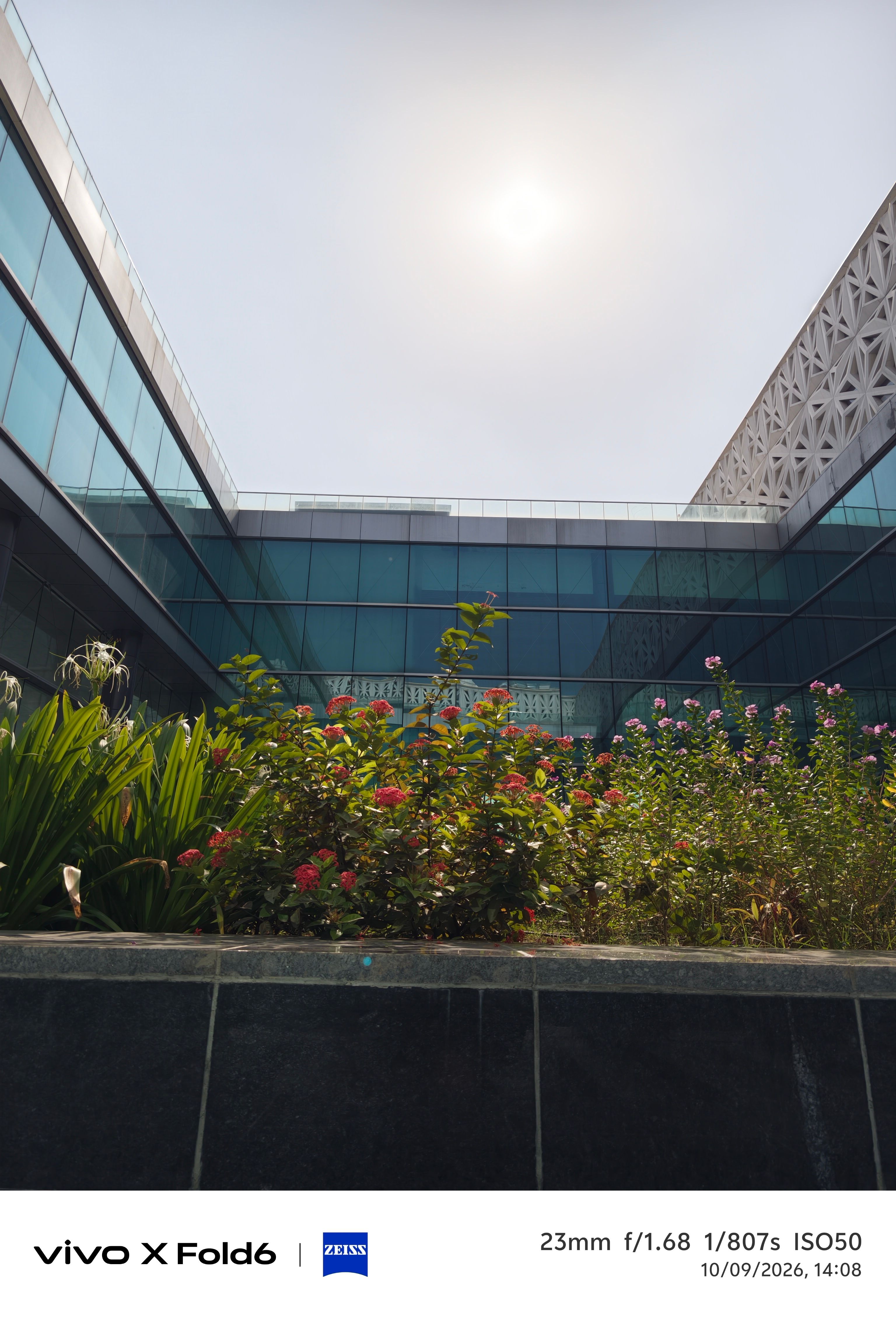 Vivo X Fold 6 daytime shot of flowers main camera