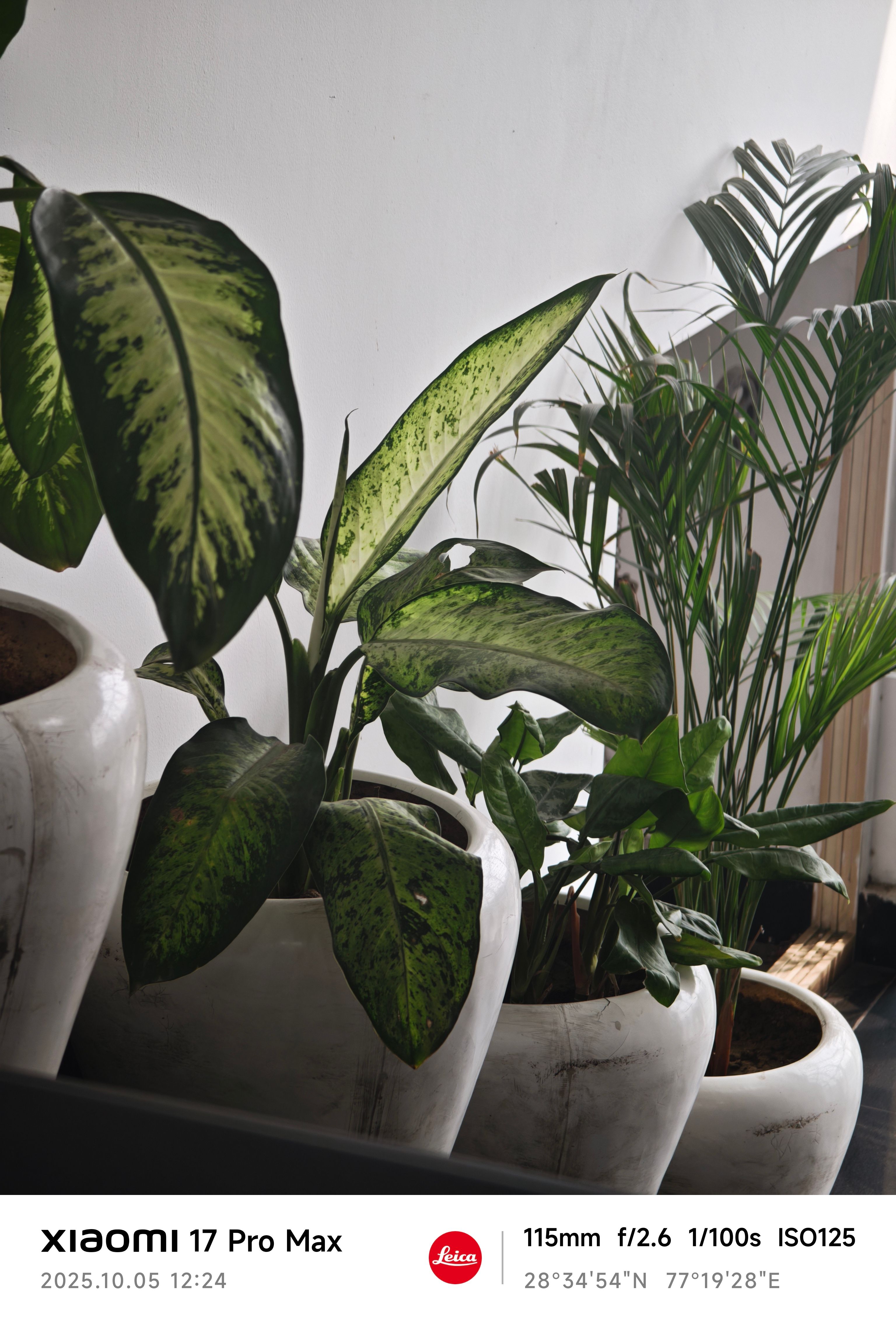 Xiaomi 17 Pro Max folder-name-as-category 21