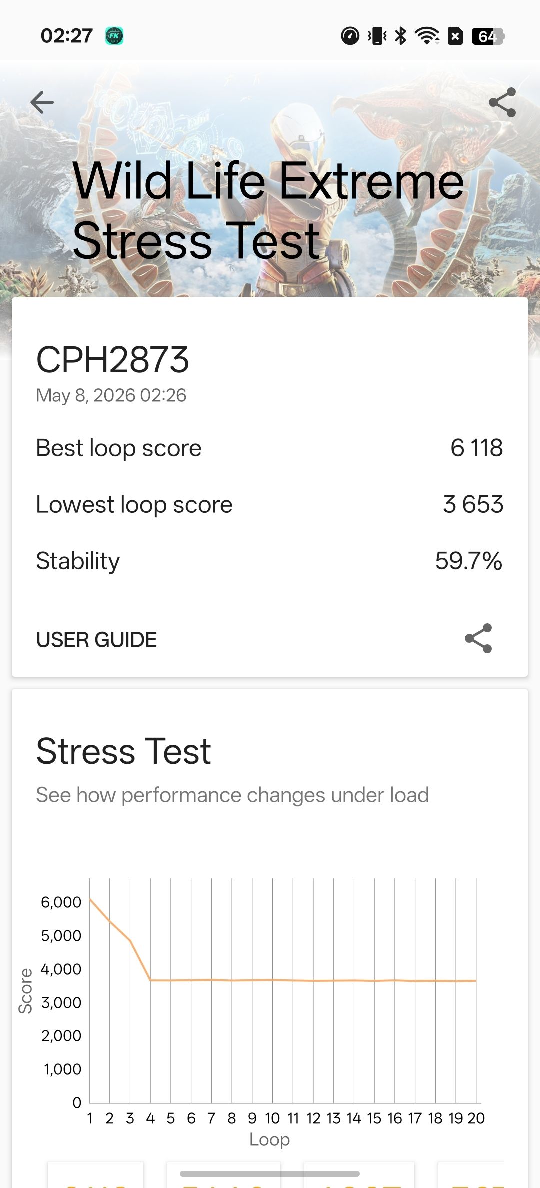 Stress test