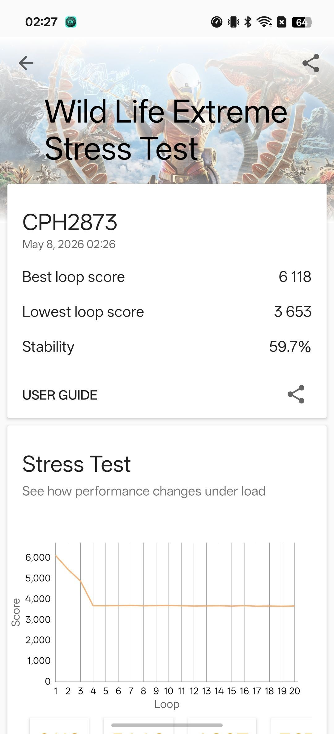 Stress test