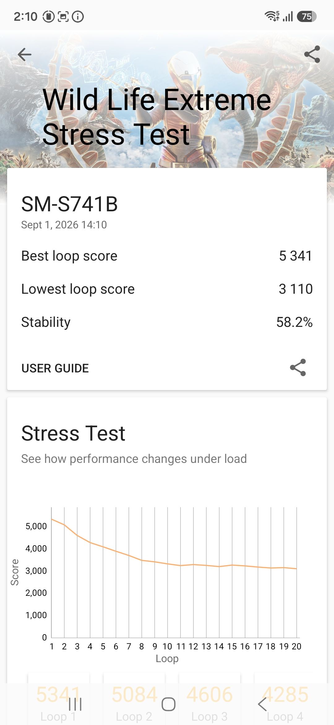 Wild Life Extreme Stress Test